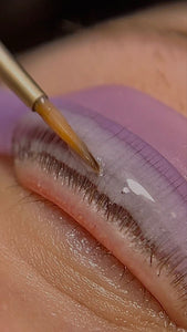 Lash Lift & Tint Course